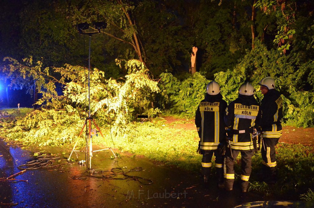 Sturm Radfahrer vom Baum erschlagen Koeln Flittard Duesseldorferstr P04.JPG